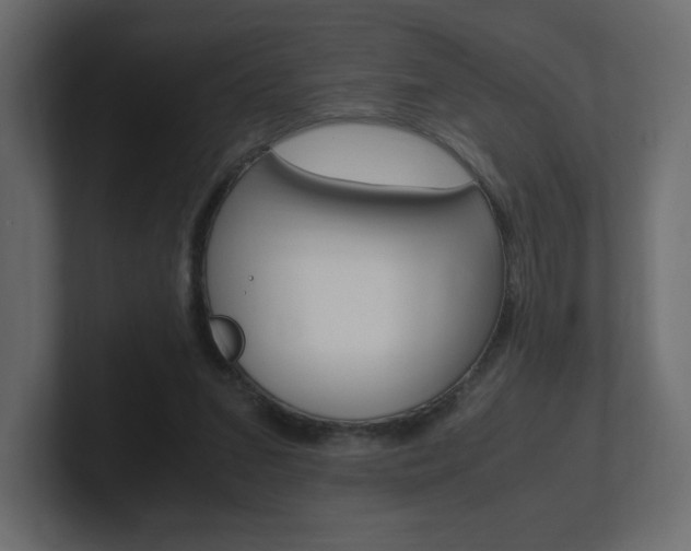 X0000101190207200806270854