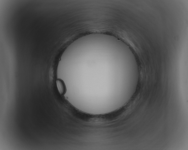 X0000101190211200806270854