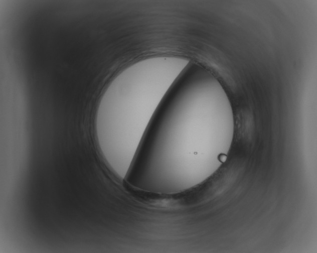 X0000101190212200806270854