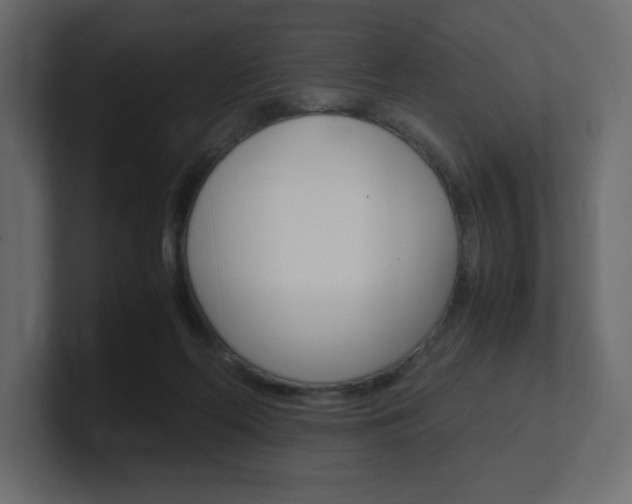 X0000101190214200806270854