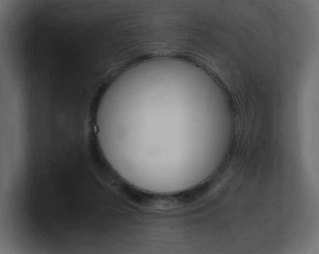 X0000101190215200806270854