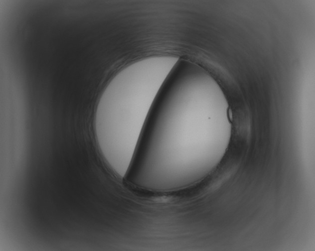 X0000101190216200806270854