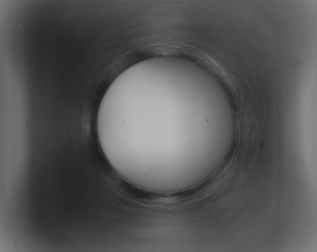 X0000101190217200806270854