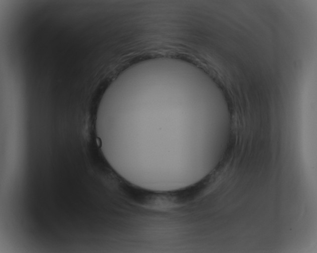 X0000101190223200806270854
