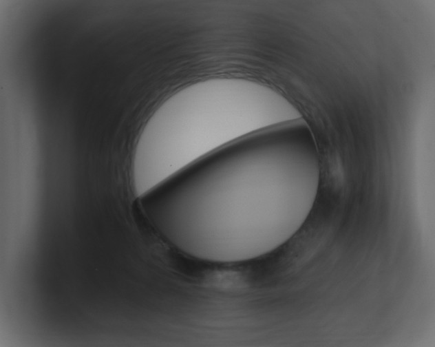 X0000101190224200806270854