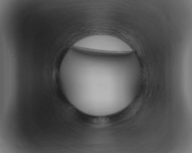 X0000101190225200806270854
