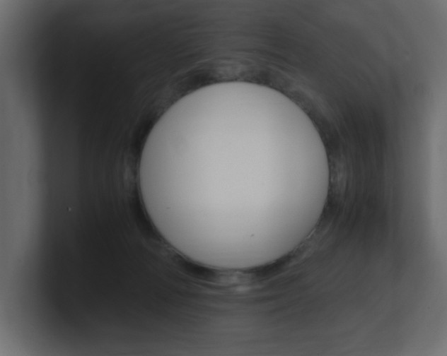 X0000101190226200806270854
