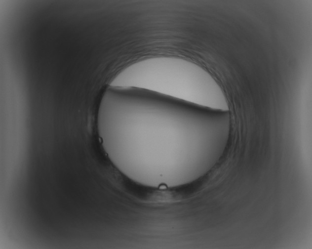 X0000101190227200806270854