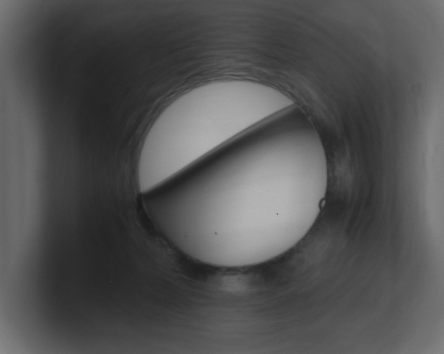 X0000101190228200806270854