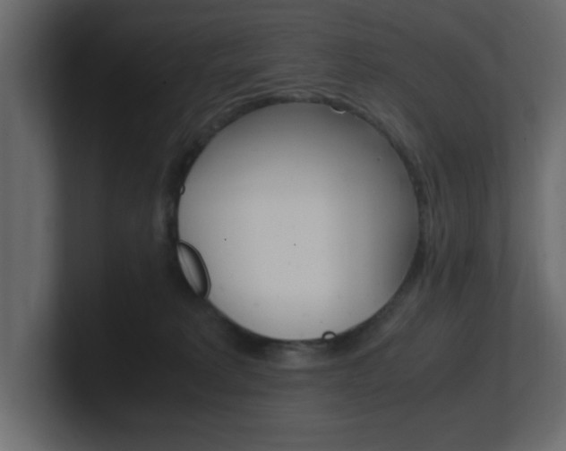 X0000101190229200806270854