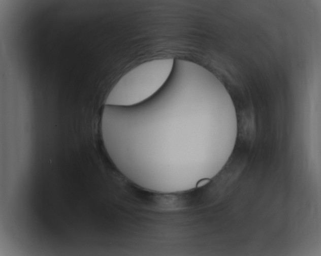 X0000101190230200806270854