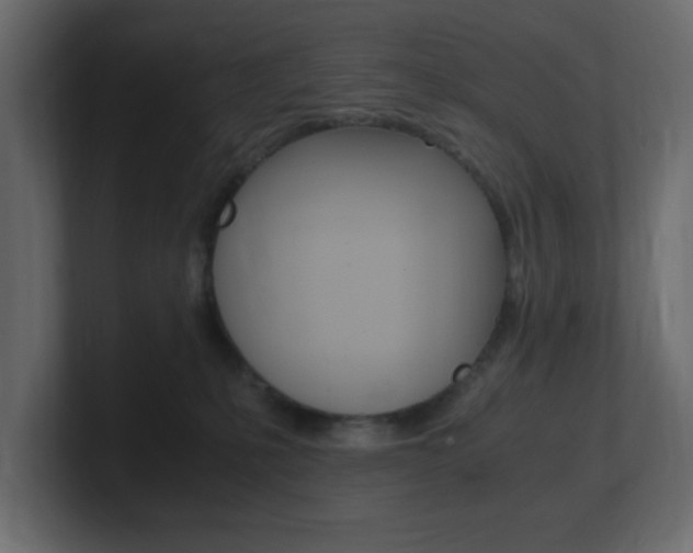 X0000101190231200806270854