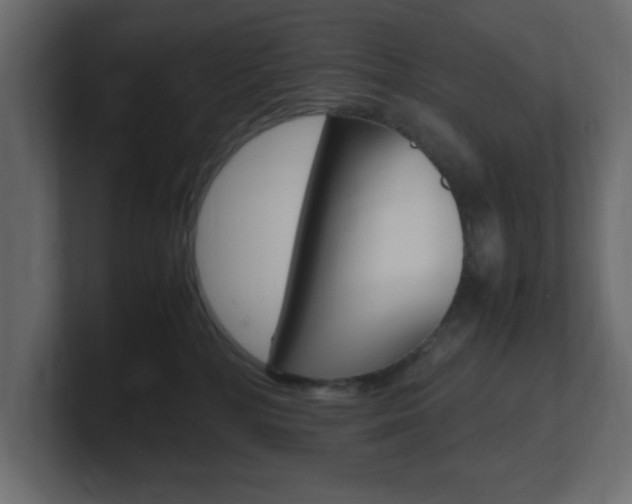 X0000101190232200806270854