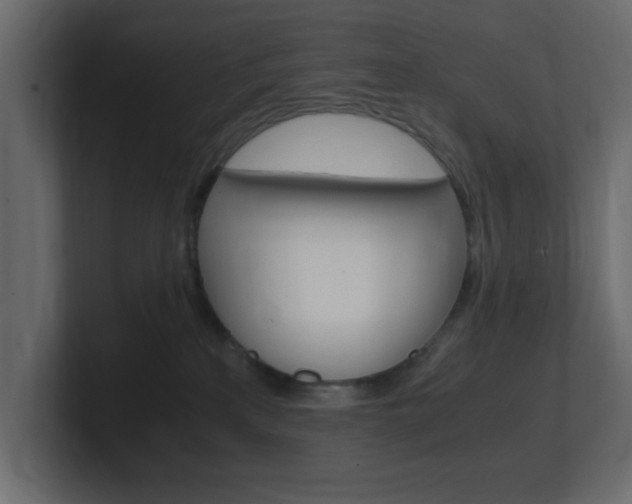 X0000101190233200806270854