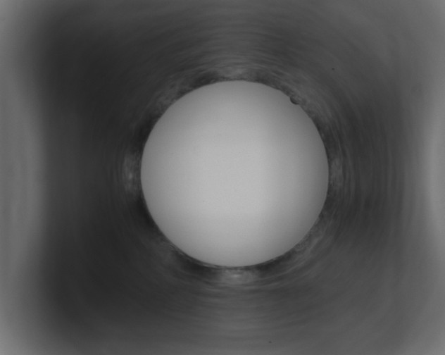 X0000101190234200806270854