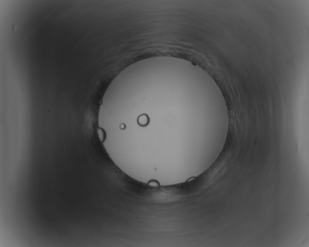 X0000101190235200806270854
