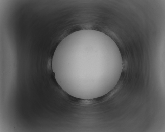 X0000101190238200806270853