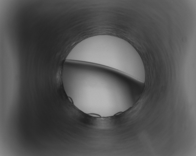 X0000101190240200806270853