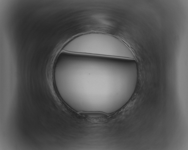 X0000101190241200806270853