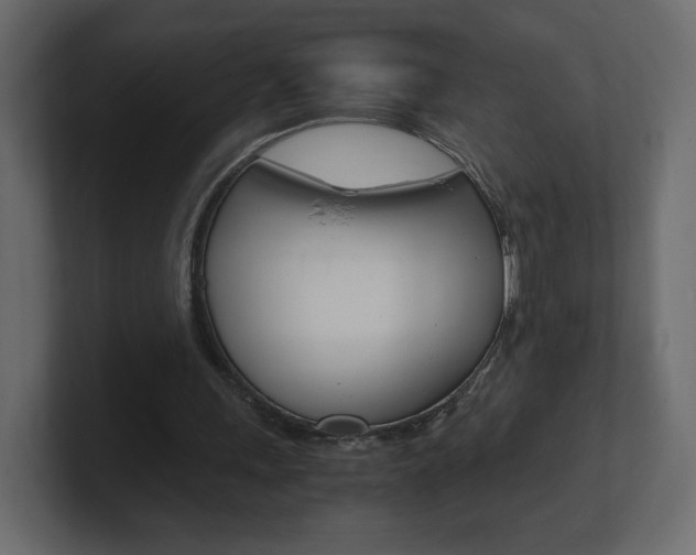 X0000101190243200806270853