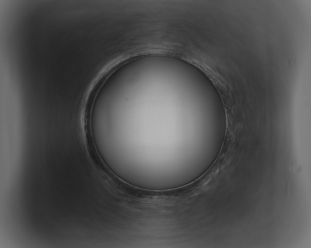 X0000101190244200806270853