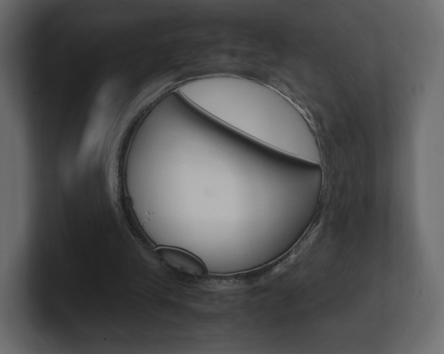 X0000101190245200806270853
