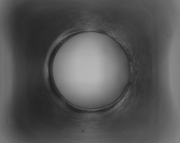 X0000101190246200806270853