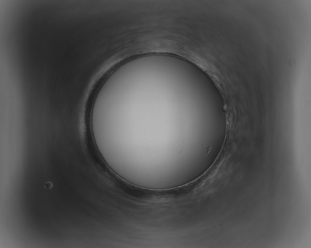 X0000101190248200806270853
