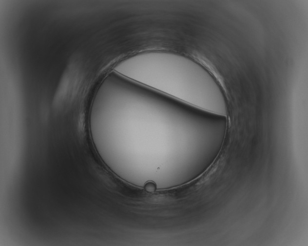 X0000101190249200806270853