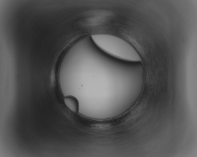 X0000101190251200806270853