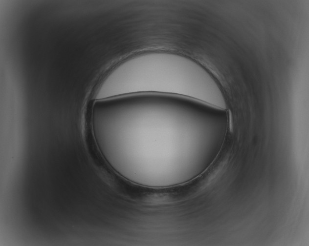 X0000101190252200806270853