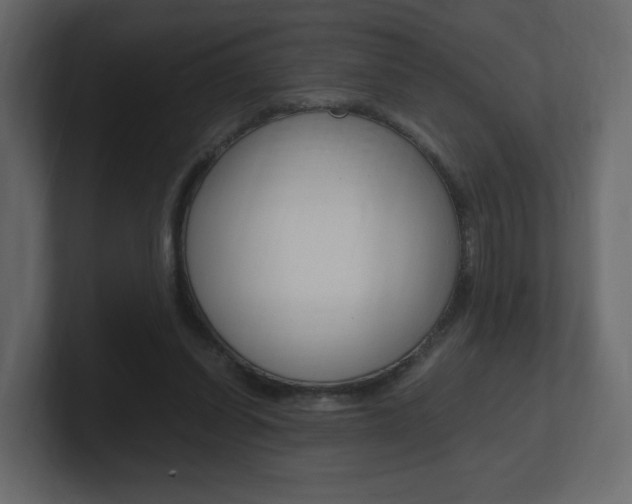 X0000101190254200806270853