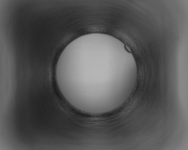 X0000101190255200806270853