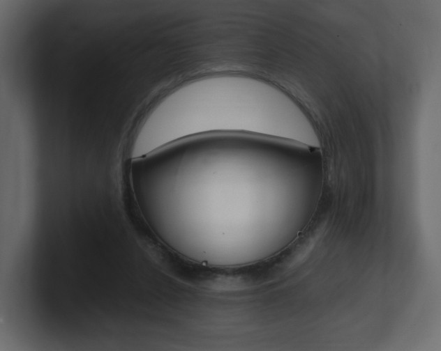 X0000101190256200806270853