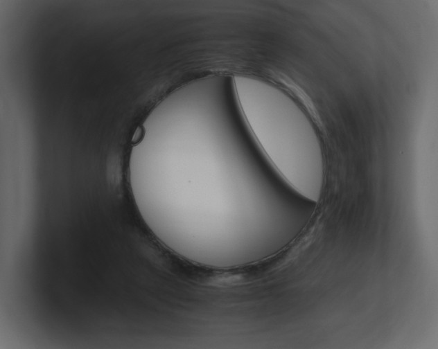 X0000101190257200806270853