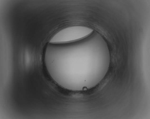 X0000101190258200806270853