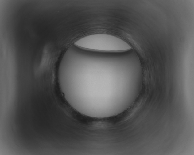 X0000101190259200806270853