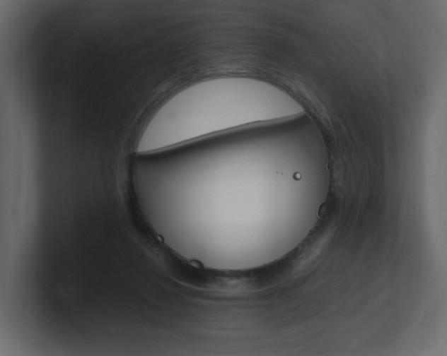 X0000101190260200806270853