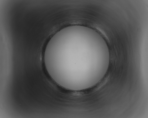 X0000101190261200806270853