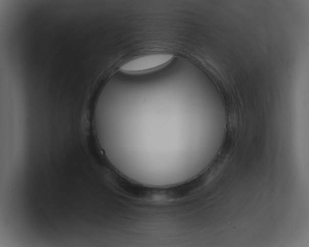 X0000101190264200806270853