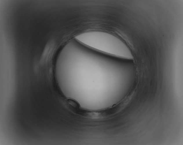 X0000101190265200806270853