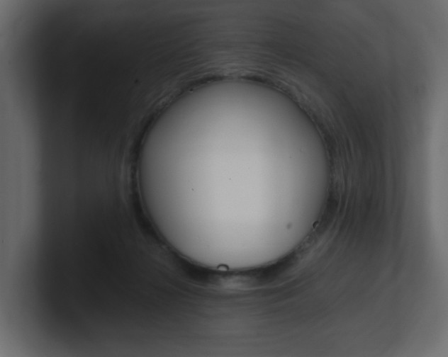 X0000101190268200806270853