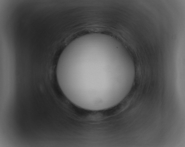 X0000101190271200806270853