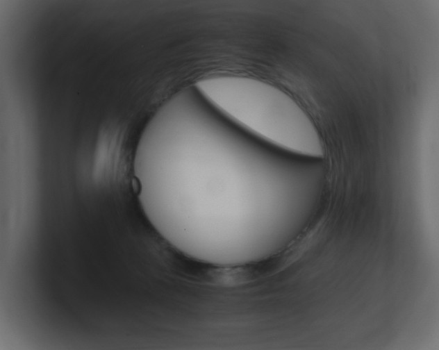 X0000101190273200806270853