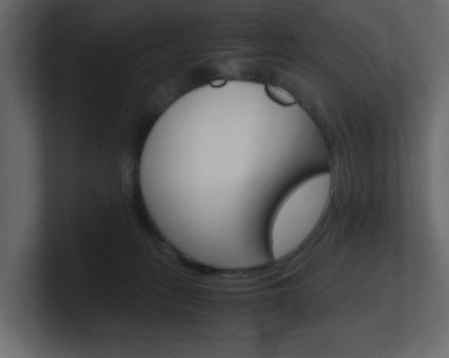 X0000101190275200806270853