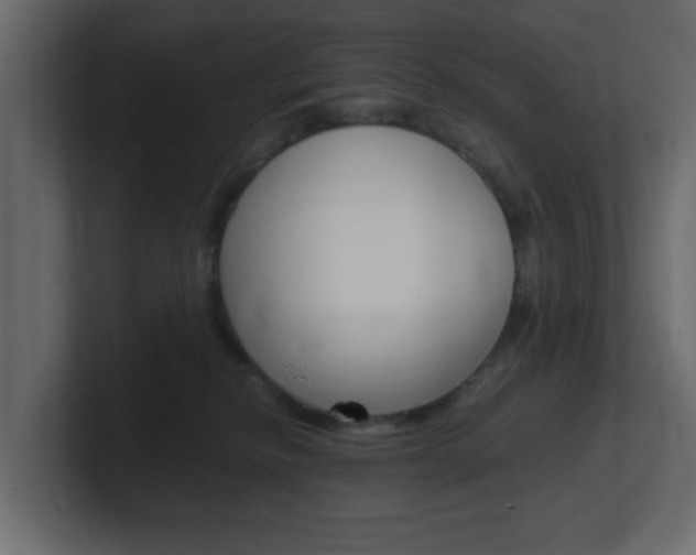 X0000101190278200806270853