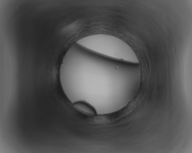 X0000101190279200806270853