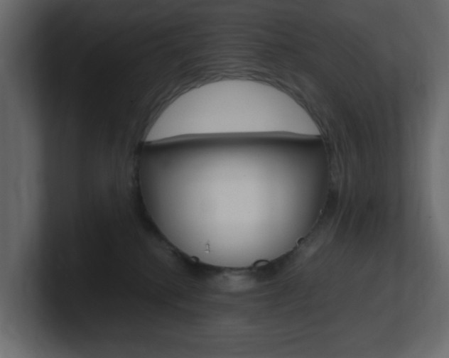 X0000101190280200806270853