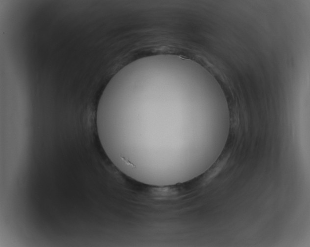 X0000101190281200806270853