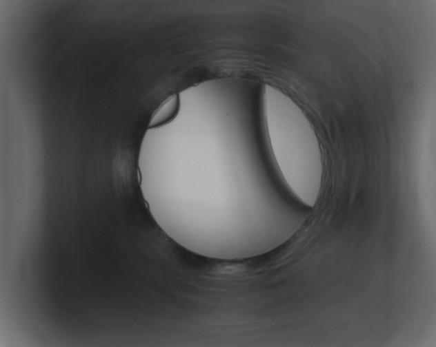 X0000101190283200806270853